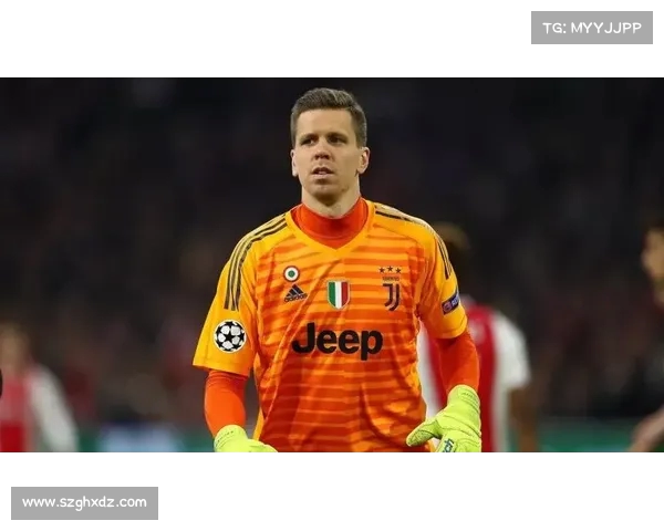 《英超传奇:从绿茵场到巅峰荣耀的荣耀征程》 《英超传奇:从绿茵场到巅峰荣耀的荣耀征程》